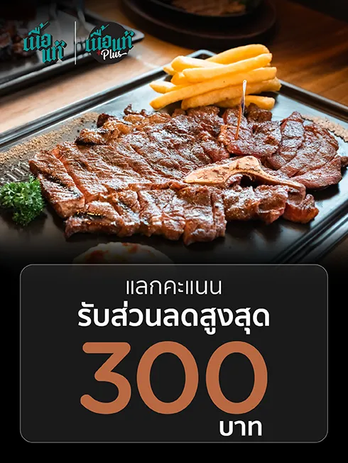 เนื้อแท้ และ เนื้อแท้ พลัส