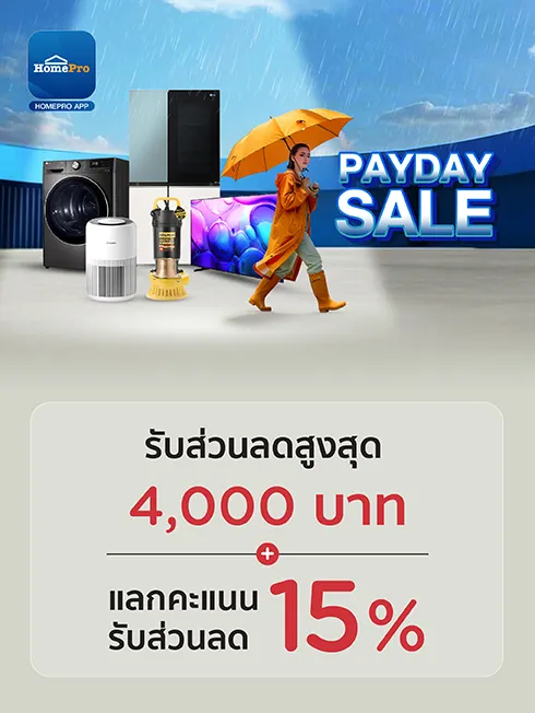 Homepro Online-Pay Day