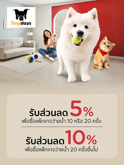Dogdaysbkk 