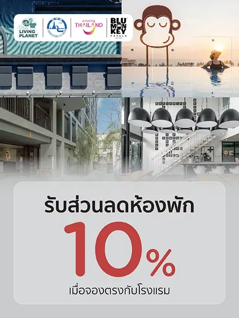 Blu Monkey Hotels
