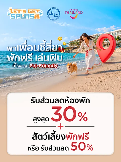 Let's Get Splash! รวมโรงแรมที่เป็นมิตรต่อสัตว์เลี้ยง