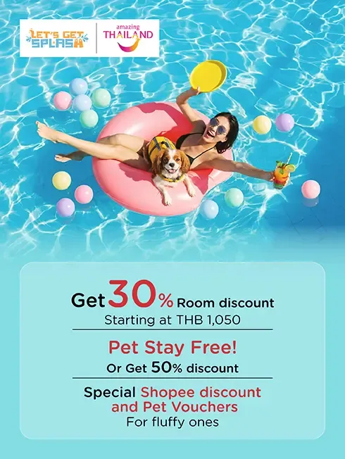 Let's Get Splash! รวมโปรโมชั่นโรงแรมที่เป็นมิตรต่อสัตว์เลี้ยง กับบัตรเครดิต KTC Let's Get Splash! รวมโปรโมชั่นโรงแรมที่เป็นมิตรต่อสัตว์เลี้ยง กับบัตรเครดิต KTC