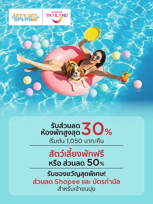 Let's Get Splash! รวมโปรโมชั่นโรงแรมที่เป็นมิตรต่อสัตว์เลี้ยง กับบัตรเครดิต KTC Let's Get Splash! รวมโปรโมชั่นโรงแรมที่เป็นมิตรต่อสัตว์เลี้ยง กับบัตรเครดิต KTC