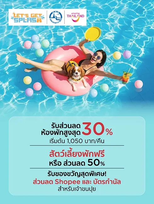 Let's Get Splash! รวมโรงแรมที่เป็นมิตรต่อสัตว์เลี้ยง
