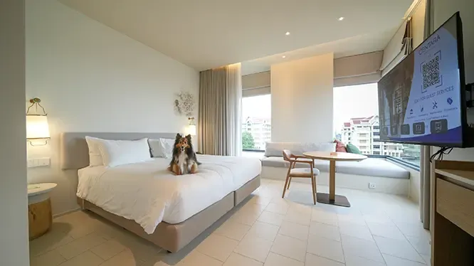 โปรโมชั่นที่ Centara Ayutthaya เฉพาะบัตรเครดิต KTC เท่านั้น