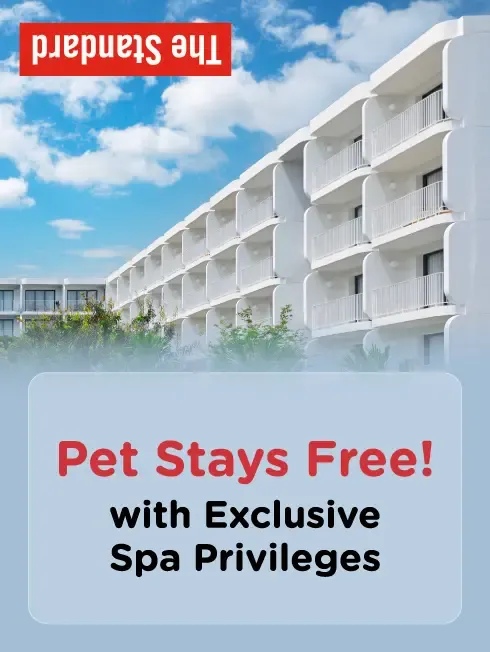 The Standard, Hua Hin