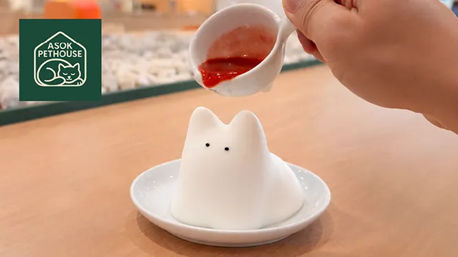 อโศก เพท เฮ้าส์