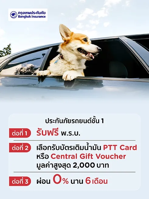 ประกันภัยรถยนต์ชั้น 1