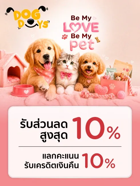 Dogdaysbkk