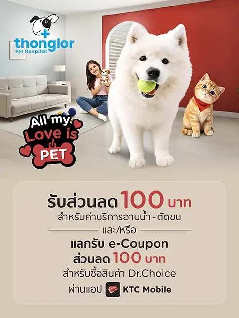 Thonglor Pet Hospital