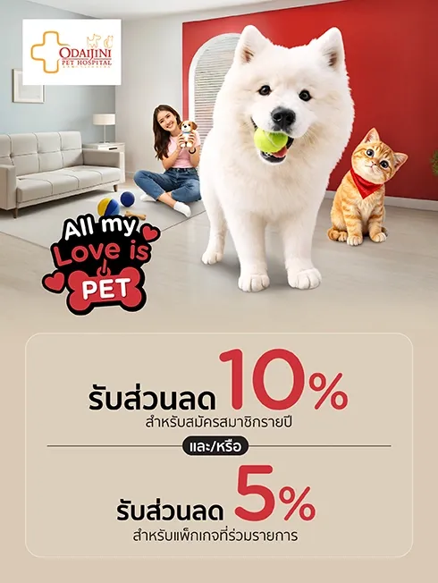 โรงพยาบาลสัตว์โอะไดจินิ 