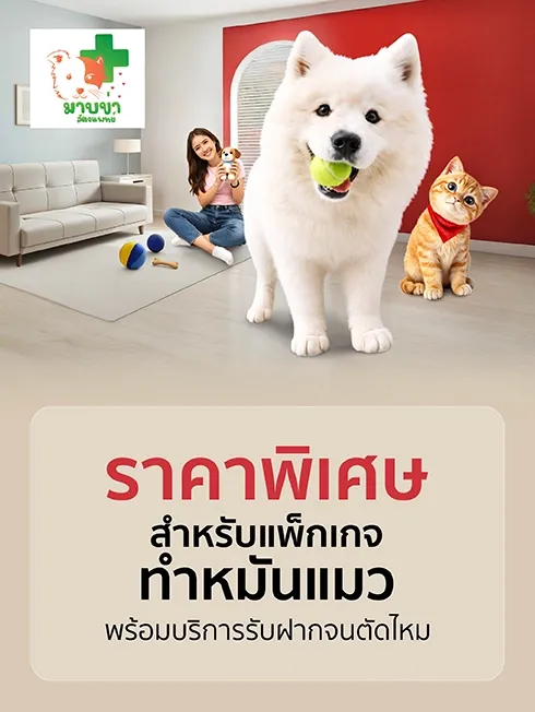 มาบข่าสัตว์แพทย์