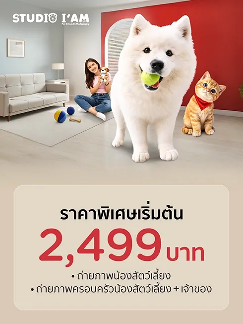 โปรโมชั่นพิเศษ ที่ Studio I'AM กับบัตรเครดิต KTC