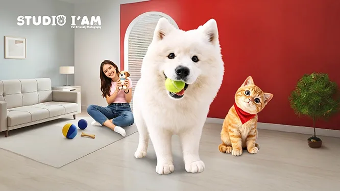 โปรโมชั่นพิเศษ ที่ Studio I'AM กับบัตรเครดิต KTC