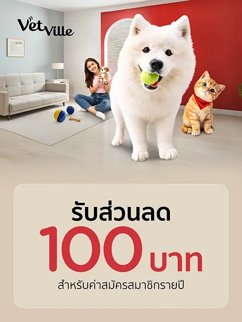 โรงพยาบาลสัตว์เว็ทวิลล์