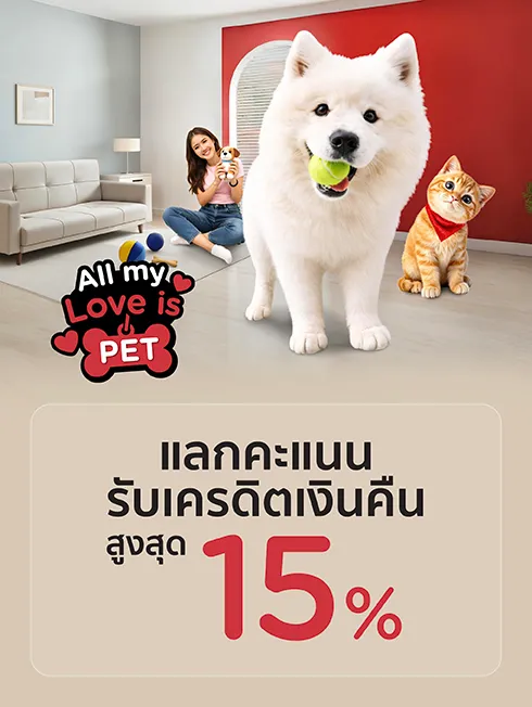 โปรโมชั่นพิเศษ All my love is Pet กับบัตรเครดิต KTC โปรโมชั่นพิเศษ All my love is Pet กับบัตรเครดิต KTC