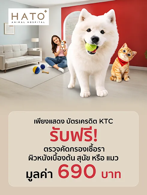 Hato Animal Hospital