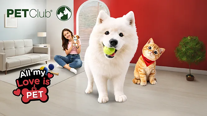 โปรโมชั่นพิเศษ ที่ เพ็ทคลับ กับบัตรเครดิต KTC