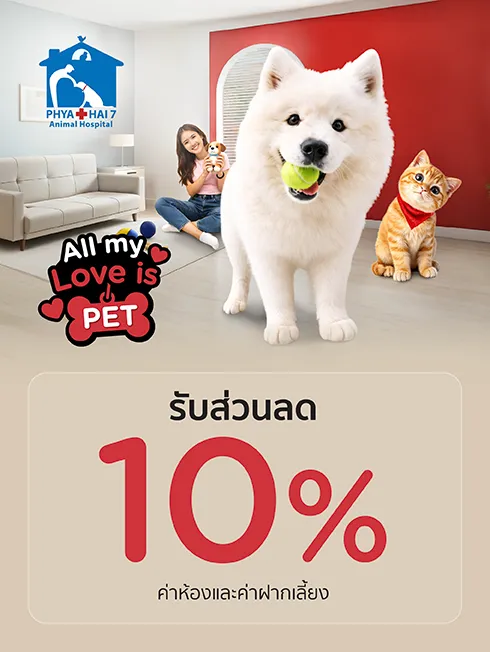 โรงพยาบาลสัตว์พญาไท 7 