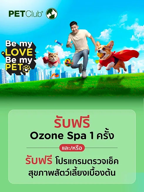 เพ็ทคลับ