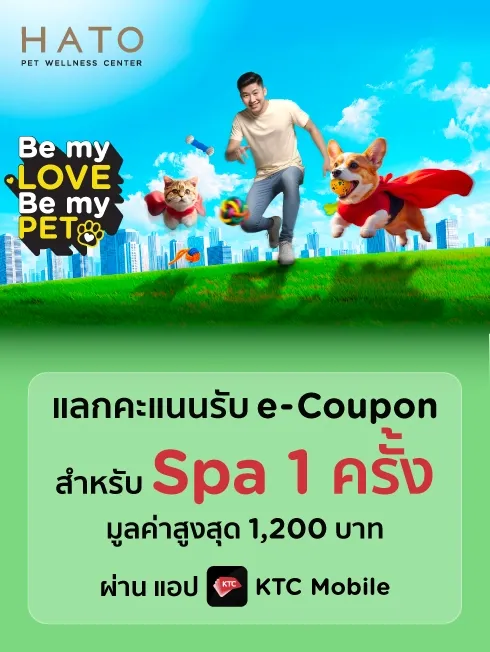 Hato Animal Hospital