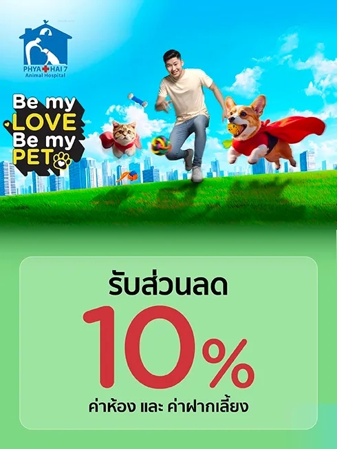 Phyathai 7 Pet Hospital