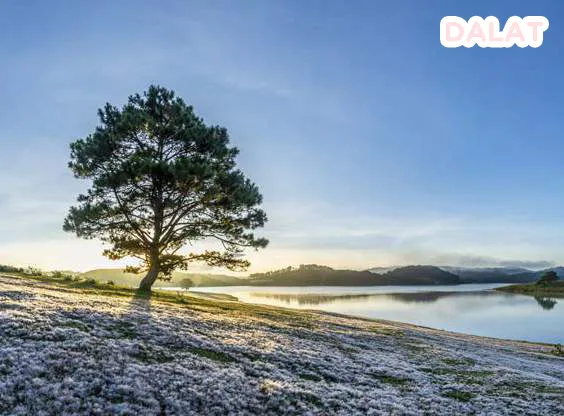 ดาลัด (Da Lat)