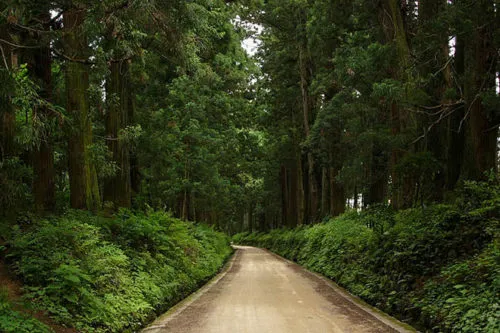 guinness-book-japan-06