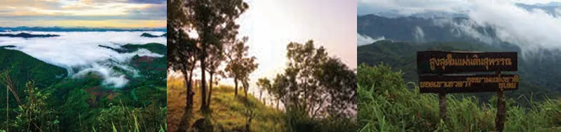 เที่ยวไทย เที่ยวสบายใกล้กรุงที่ สุพรรณบุรี