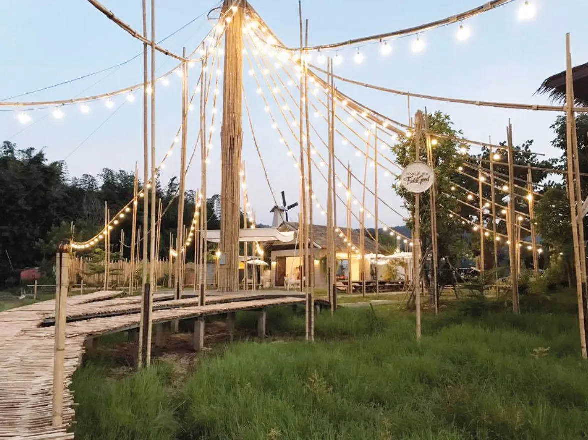 a-cafe-in-the-rice-field-1 a-cafe-in-the-rice-field-1