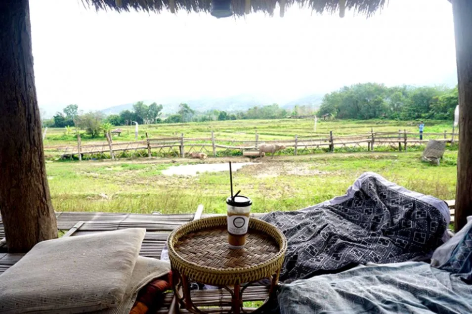 a-cafe-in-the-rice-field-2 a-cafe-in-the-rice-field-2
