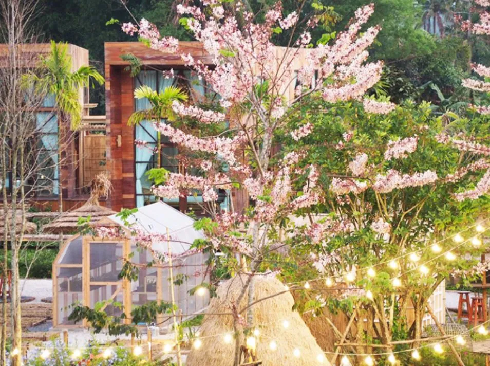 a-cafe-in-the-rice-field-4 a-cafe-in-the-rice-field-4