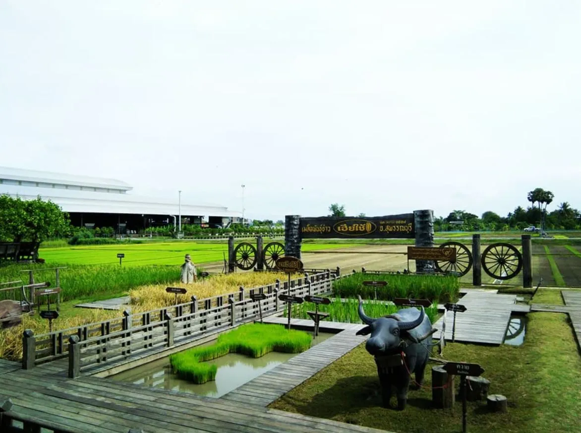 a-cafe-in-the-rice-field-6 a-cafe-in-the-rice-field-6