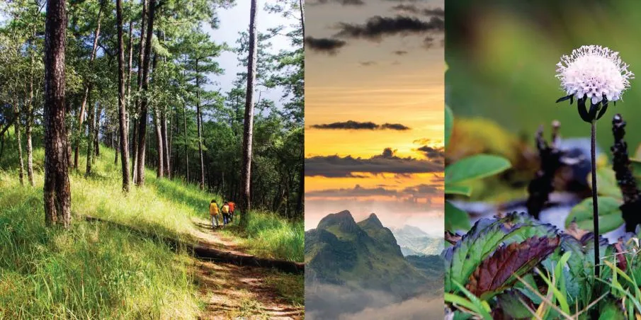 ดอยหลวงเชียงดาว ดอยหลวงเชียงดาว