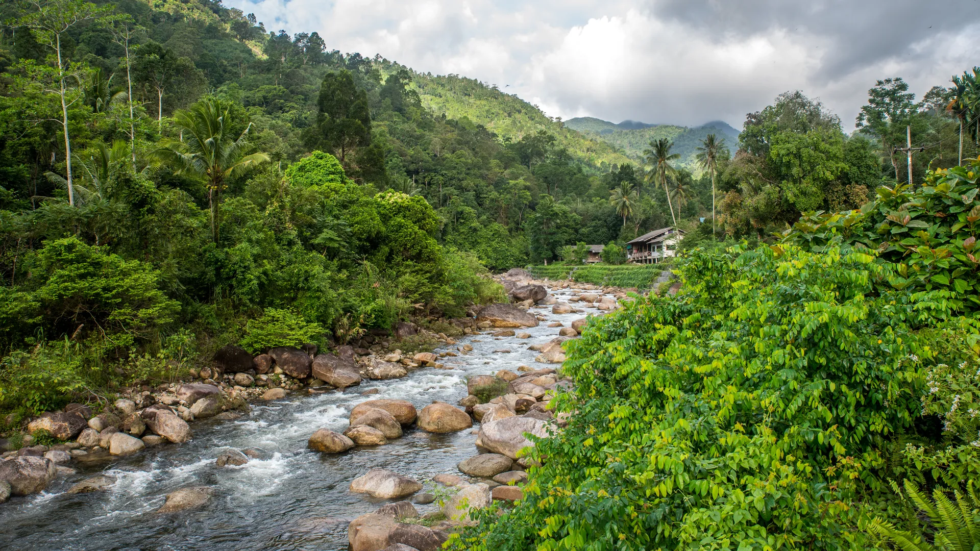 khiri-wong khiri-wong