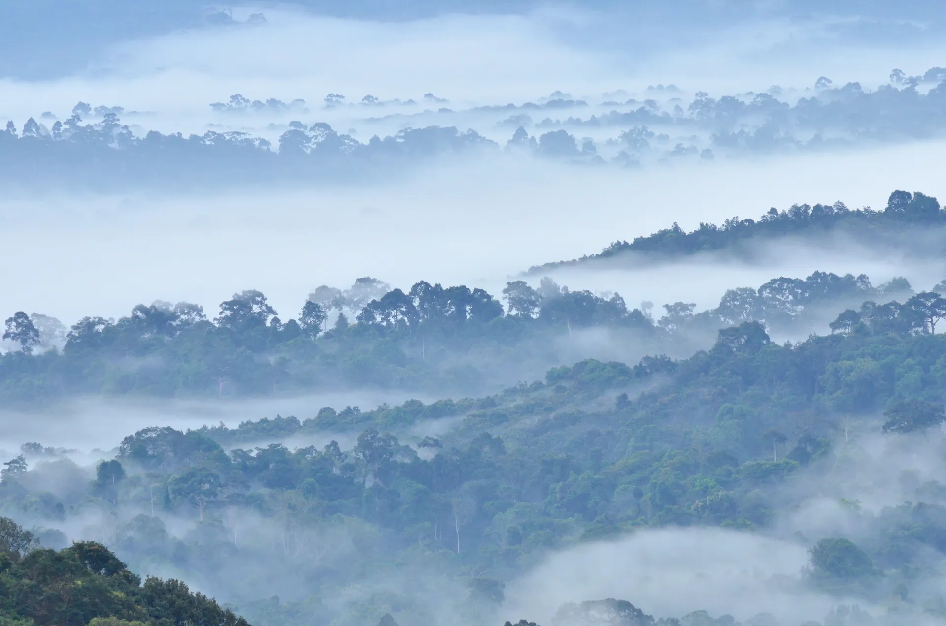 wang-nam-khiao wang-nam-khiao