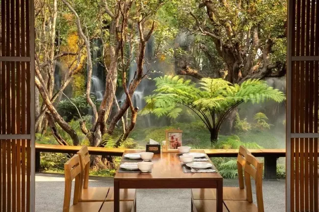 คาเฟ่ Chom Cafe & Restaurant เชียงใหม่