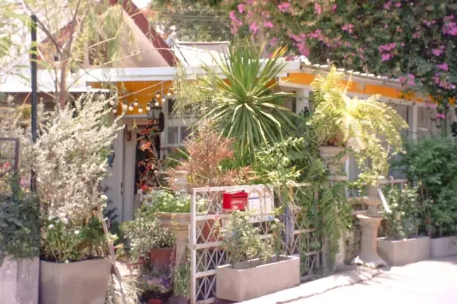 ร้านอาหารกึ่งคาเฟ่ Dong Madame เชียงใหม่ 