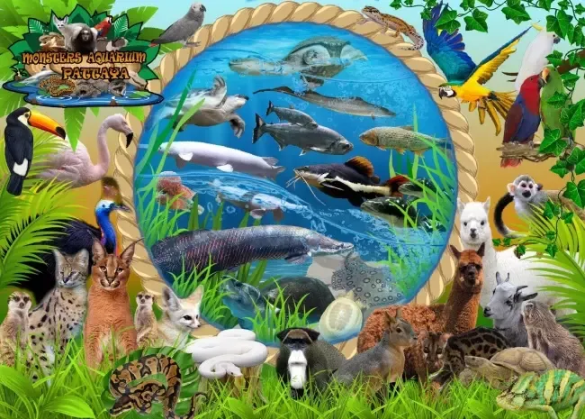 สถานที่ท่องเที่ยวมอนสเตอร์อควาเรียมพัทยา