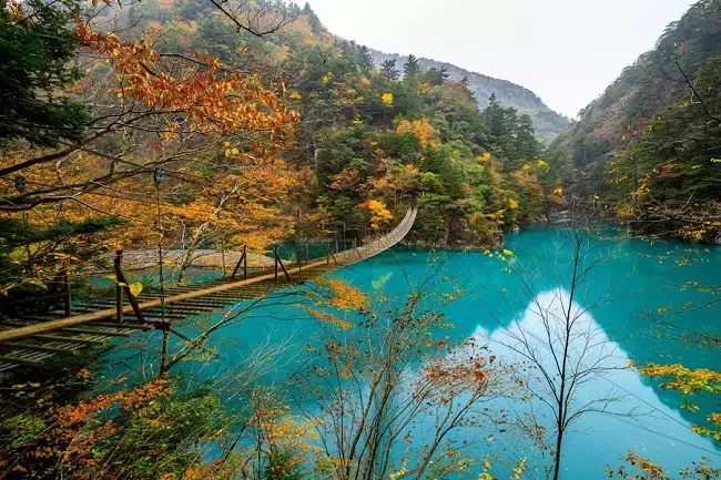 สะพานแขวนยูเมะ โนะ สึริบาชิ