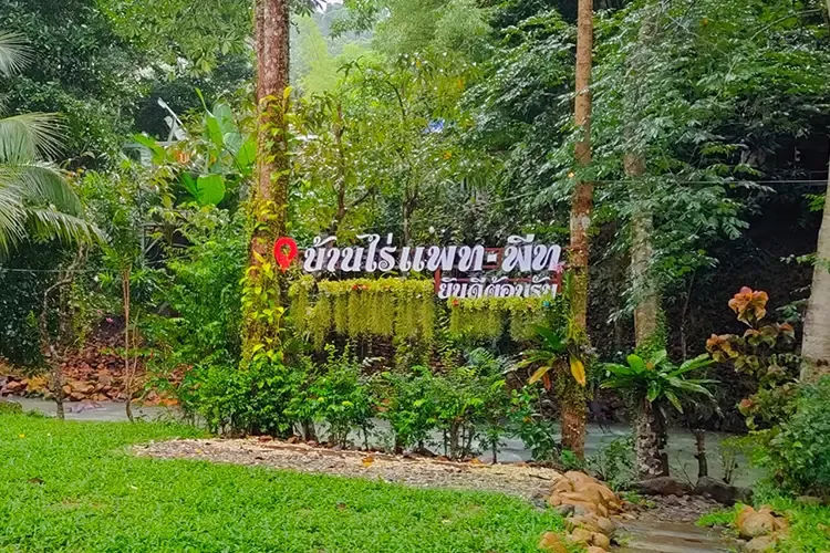 บ้านไร่แพท-พีท ที่พักติดริมน้ำบรรยากาศดี โอบล้อมด้วยธรรมชาติ 