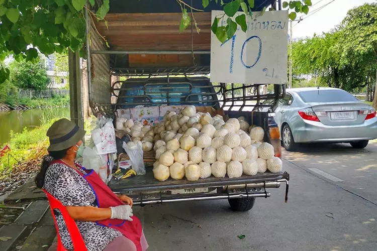 ปรับรถกระบะคู่ใจให้เป็นรถขายผลไม้ เพื่อหารายได้เสริมในยุคโควิด 