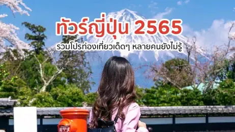 นักท่องเที่ยวในประเทศญี่ปุ่น