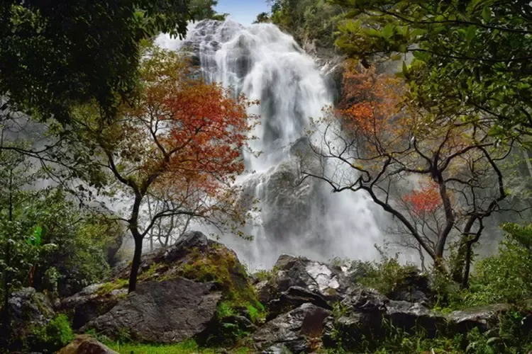 เล่นน้ำคลายร้อนที่น้ำตกสวยของอุทยานแห่งชาติคลองลาน เล่นน้ำคลายร้อนที่น้ำตกสวยของอุทยานแห่งชาติคลองลาน