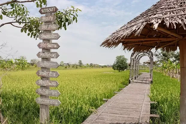 ร้านนากรุงเก่า