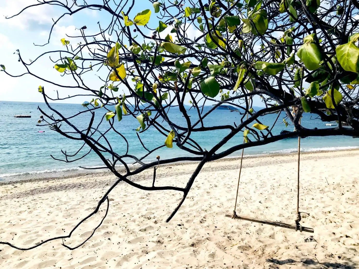 ชิงช้าไม้บนหาดทรายที่เกาะขาม