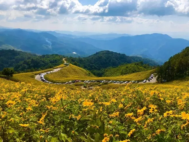 ทุ่งดอกบัวตอง