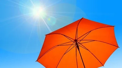 ร่มกลางกันแดด