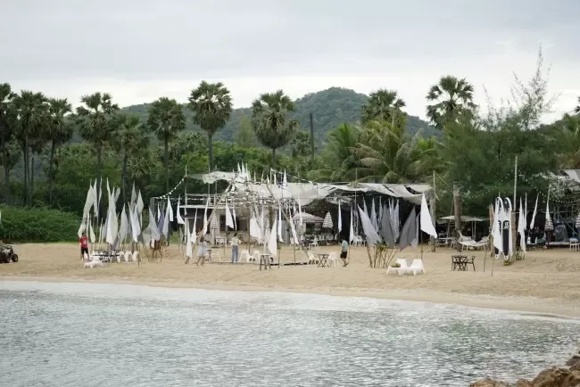 คาเฟ่ 1d + Day Artist