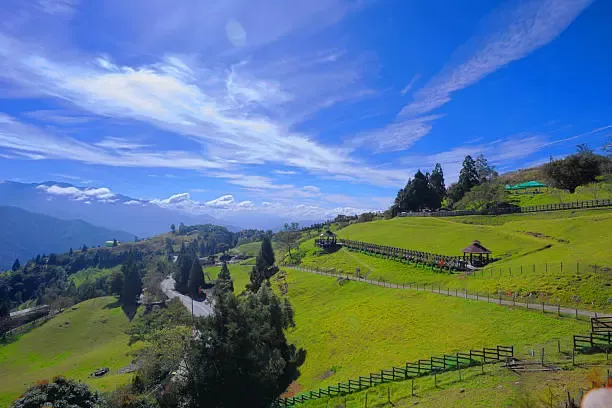 ทุ่งหญ้ากว้างที่ฟาร์มแกะชิงจิ้ง